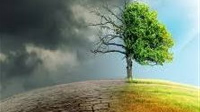 طفرة الذكاء الاصطناعي تعيد الفحم إلى دائرة المنافسة في أمريكا