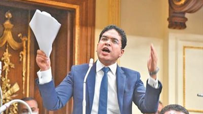ضياء الدين داوود يوافق على قانون سجل المستوردين