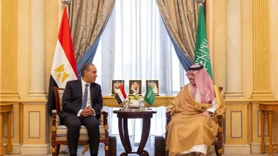 مصر والسعودية تؤكدان أولوية الدبلوماسية لإحياء الحوار بين واشنطن وطهران