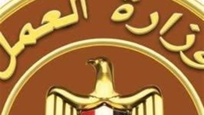 وزارة العمل تعلن عن 165 فرصة عمل للشباب في مدينة بدر.. تفاصيل 