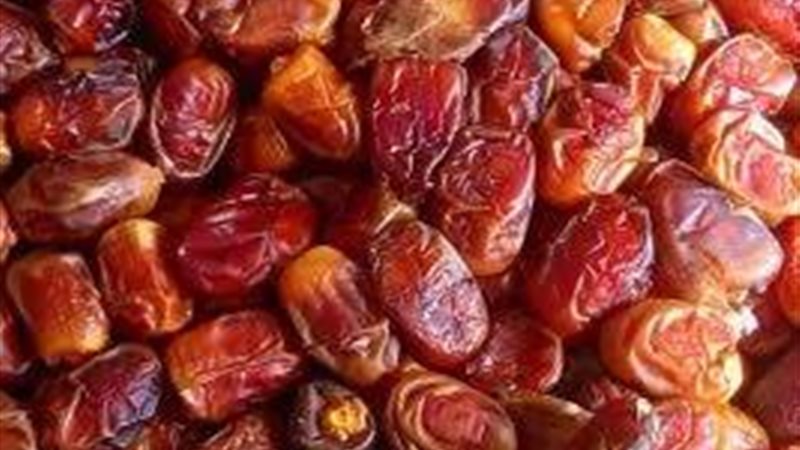 ارشيف 
