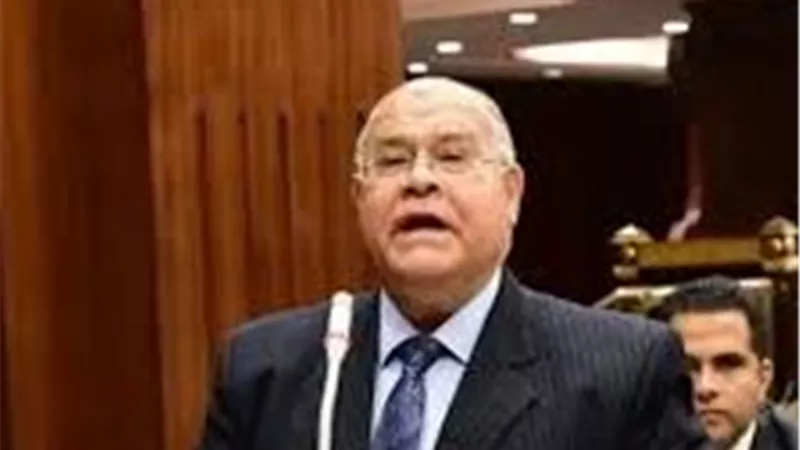 الشهابي: تصنيف عدد من دول الإخوان كتنظيماً إرهابياً يعكس وعيا دوليا متأخرا بخطورة الجماعة