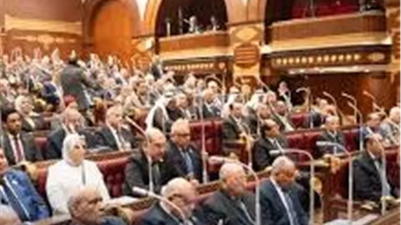 اليوم.. مجلس الشيوخ يناقش تعديل قانون المستشفيات الجامعية 