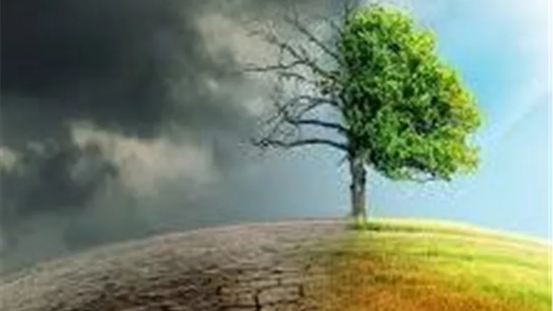 طفرة الذكاء الاصطناعي تعيد الفحم إلى دائرة المنافسة في أمريكا