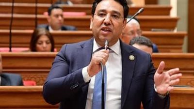عضو بالنواب: التزام مصر بدعم استقرار الدول العربية يعزز الوحدة العربية