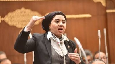 أول تعليق من النائبة أميرة صابر على مقترح التبرع بالجلد (خاص)