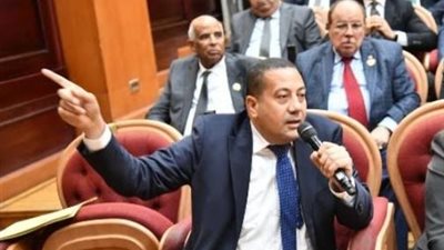 عضو بالشيوخ يطالب بتشديد الرقابة على الأسواق قبل رمضان لمواجهة الغلاء