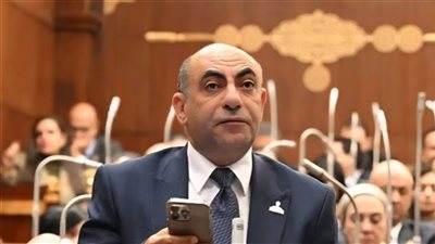 عضو بالشيوخ: توجيهات الرئيس السيسي لحظر روبلوكس  أساس الحماية الرقمية للأطفال والمجتمع