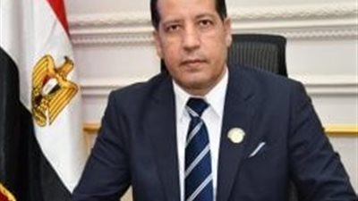 نائب بالشيوخ: الدولة تتصدى لمخاطر الألعاب الإلكترونية