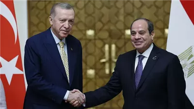 لقاءات السيسي وأردوغان تبحث ملفات سياسية وعسكرية واقتصادية