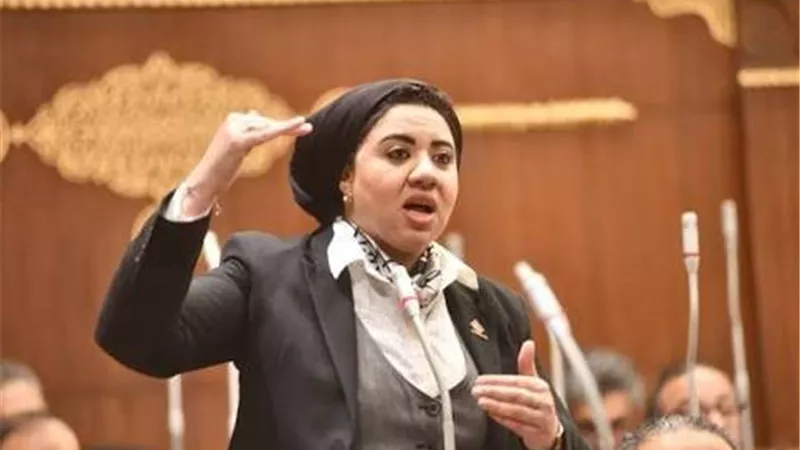 أول تعليق من النائبة أميرة صابر على مقترح التبرع بالجلد (خاص)