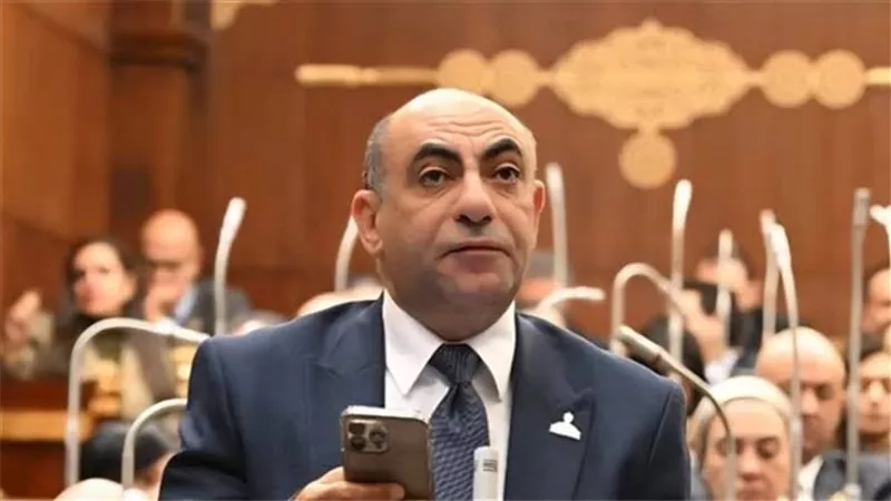 عضو بالشيوخ: توجيهات الرئيس السيسي لحظر روبلوكس  أساس الحماية الرقمية للأطفال والمجتمع