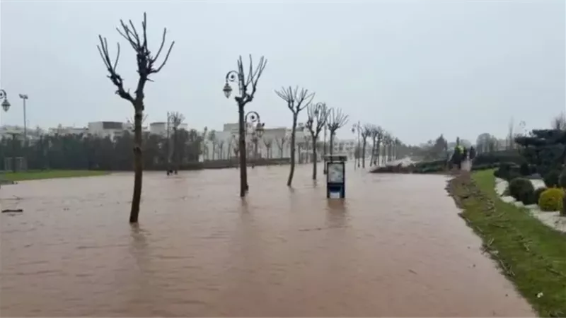 سيول تطوان