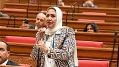 برلمانية: الحماية الاجتماعية على رأس أولويات الحكومة الجديدة تنفيذا لتوجيهات الرئيس