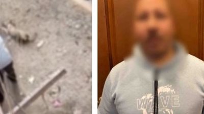 القبض على صاحب واقعة فيديو الاعتداء على «كلب» فى القاهرة