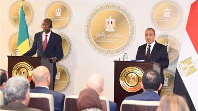 مصر ترفض أي حل عسكري للملف النووي الإيراني وتؤكد أهمية الدبلوماسية