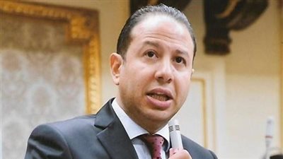 برلماني: توجيهات الرئيس السيسي بتقديم حوافز للمستثمرين تصب في صالح الاقتصاد المصري 
