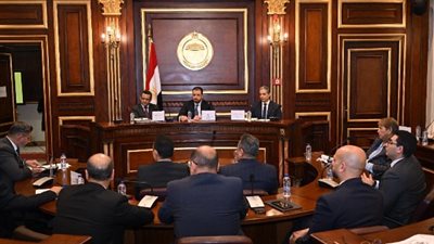 خالد البلشي أمام «الشيوخ»: المادة 12 كارثة على المهنة وقيّدت التغطية في الشارع