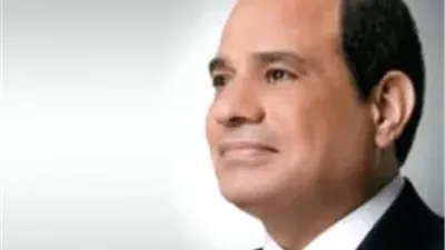 الرئيس السيسي يكلف الحكومة الجديدة بتنفيذ خطة استراتيجية شاملة للمستقبل
