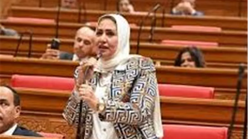 برلمانية: الحماية الاجتماعية على رأس أولويات الحكومة الجديدة تنفيذا لتوجيهات الرئيس