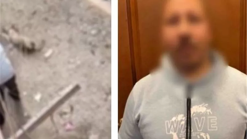 القبض على صاحب واقعة فيديو الاعتداء على «كلب» فى القاهرة