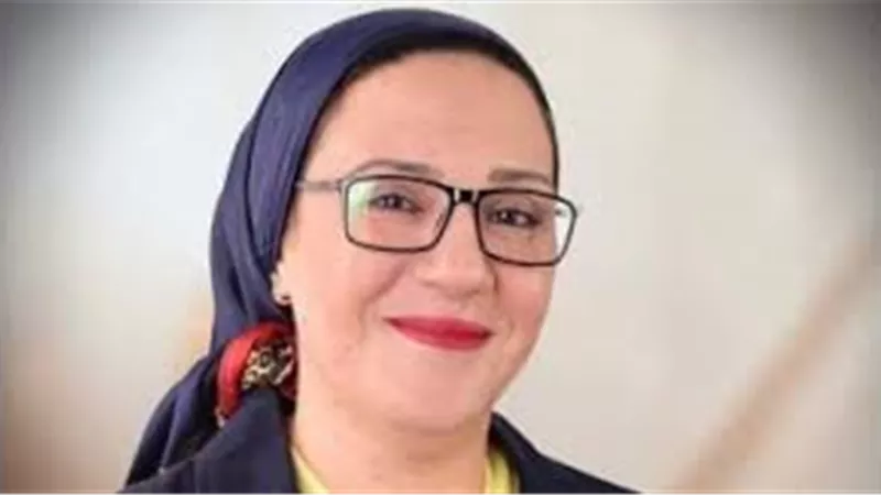 عضو بالشيوخ: المجالس المحلية تعد ركيزة أساسية للتنمية الشاملة في الدولة