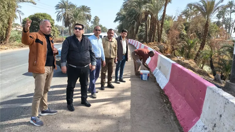 رئيس مركز طهطا يشرف على تجميل المدخل الشرقي لقرية السوالم.. صور
