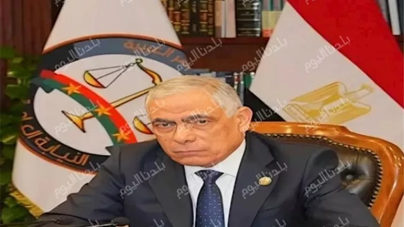 بعد شكاوى المواطنين.. إحالة سماسرة الدواجن البيضاء للمحاكمة الجنائية