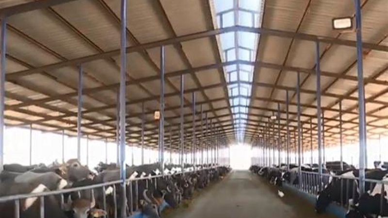 مشروع إحياء البتلو