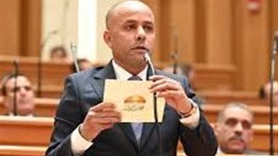 برلماني: المجالس المحلية هي الضمانة الوحيدة لمكافحة البيروقراطية والفساد