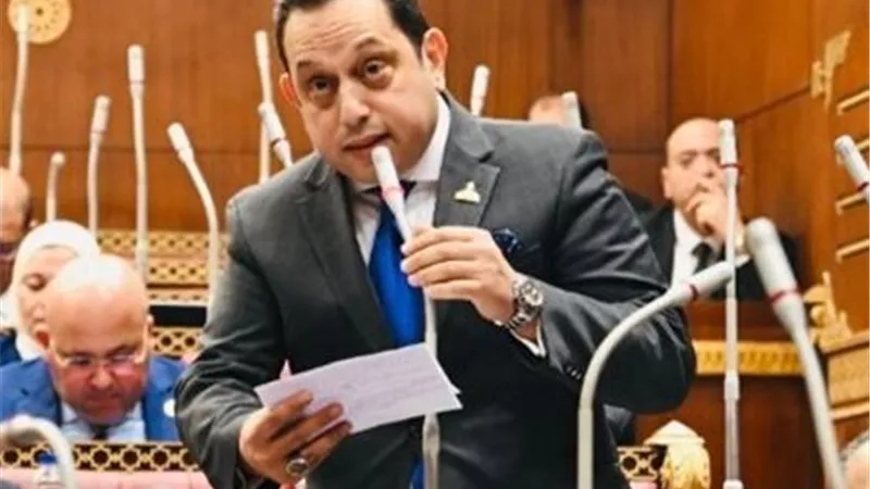 الجندي: توجيهات الرئيس بالحزمة الاجتماعية تؤكد أن المواطن المصري في صدارة أولويات الدولة