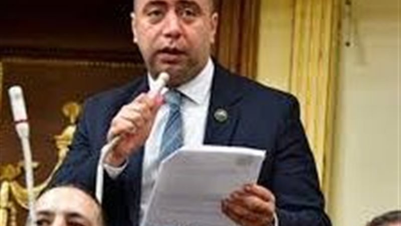 احمد بهاء شلبي 