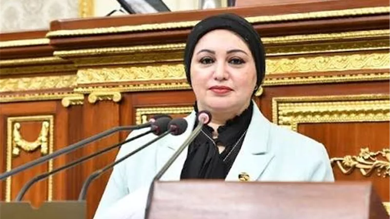 عضوة بالنواب: قانون الإدارة المحلية خطوة إيجابية نحو تعزيز الحكم المحلي 