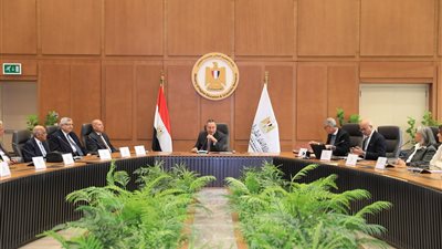 وزير التعليم العالي يشدد على ضرورة التوازن بين ارتباط الجامعات الأهلية بنظيراتها الحكومية 
