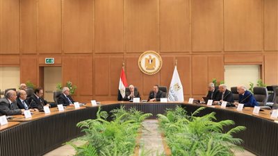 التعليم العالي: اختيار خالد فودة رئيسًا لمجلس أمناء جامعة مدينة السادات الأهلية