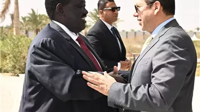 مباحثات مصرية - جنوب سودانية حول ملفات الأمن الإقليمي ومياه النيل