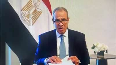 وزير الخارجية يؤكد التزام القاهرة بحماية حقوق الإنسان ويدعو لتطبيق عادل للقانون الدولي