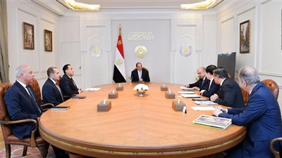 الرئيس السيسي يستقبل رئيس مجلس إدارة شركة GCL الصينية