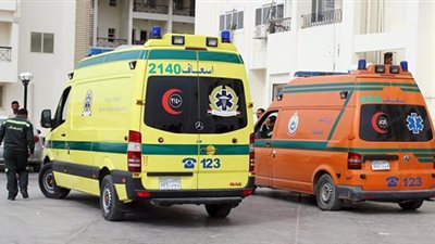 أم تضحي بحياتها لإنقاذ نجلها من الموت بالجيزة.. تفاصيل