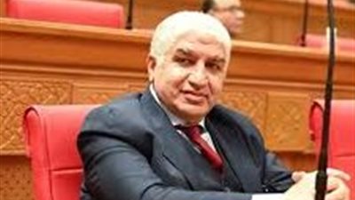 وكيل الشئون الإفريقية بالنواب: العاشر من رمضان ملحمة وطنية سطرها المصريون بدمائهم 