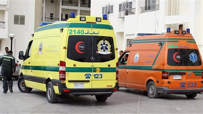 كشف ملابسات شكوى متداولة بشأن اعتداء أسري في البحيرة