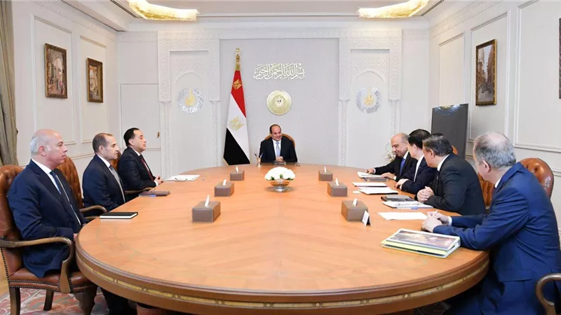 الرئيس السيسي يستقبل رئيس مجلس إدارة شركة GCL الصينية