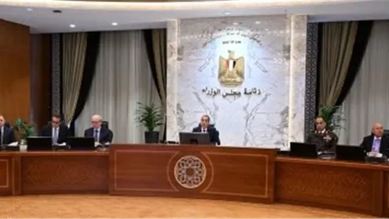 مجلس الوزراء 