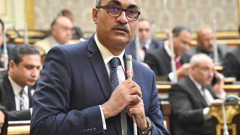النائب إيهاب منصور