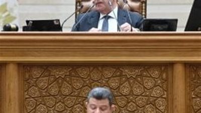 النواب يوافق على اتفاقية منحة لمشروع الربط الكهربائى بين مصر والأردن