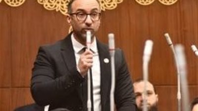 عضو بالشيوخ:  موقف مصر تجاه دعم أمن واستقرار الدول العربية ثابت وراسخ