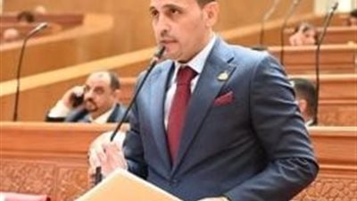 النائب إسلام التلوانى: جهود لدعم الجاليات المصرية وسط التوترات الإقليمية