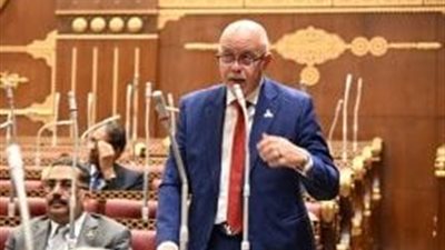 عضو بالشيوخ:  مصر تدعم أي مسار دبلوماسي جاد يحقق الاستقرار بالمنطقة