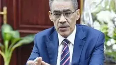 وزير الدولة للاعلام: الأحداث في المنطقة أثبتت أن ثورة 30 يونيه أنقذت مصر من مصير كارثي