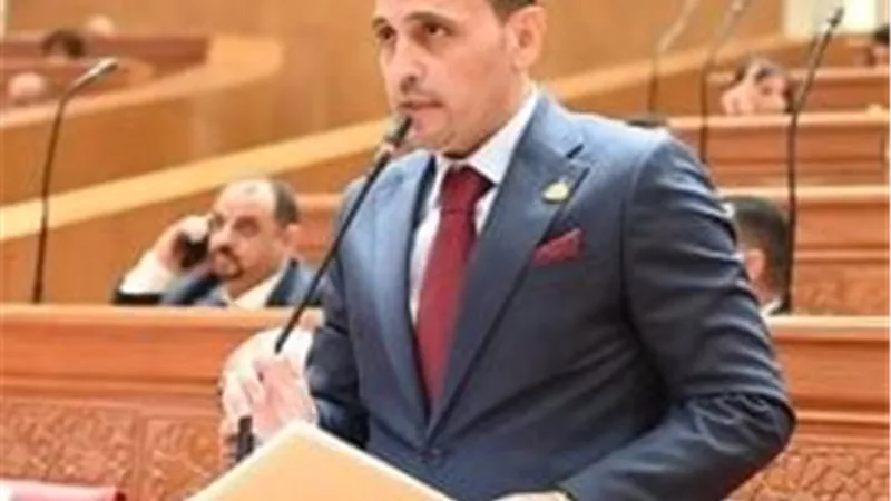النائب إسلام التلوانى: جهود لدعم الجاليات المصرية وسط التوترات الإقليمية